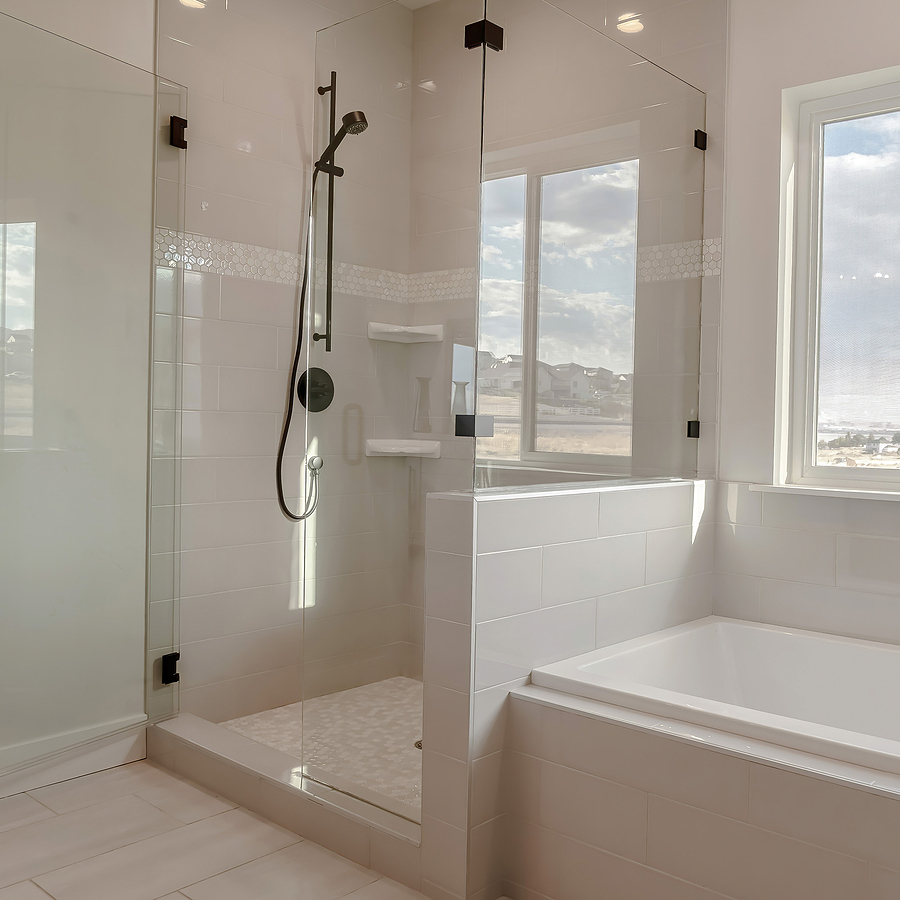 Frameless Shower Door