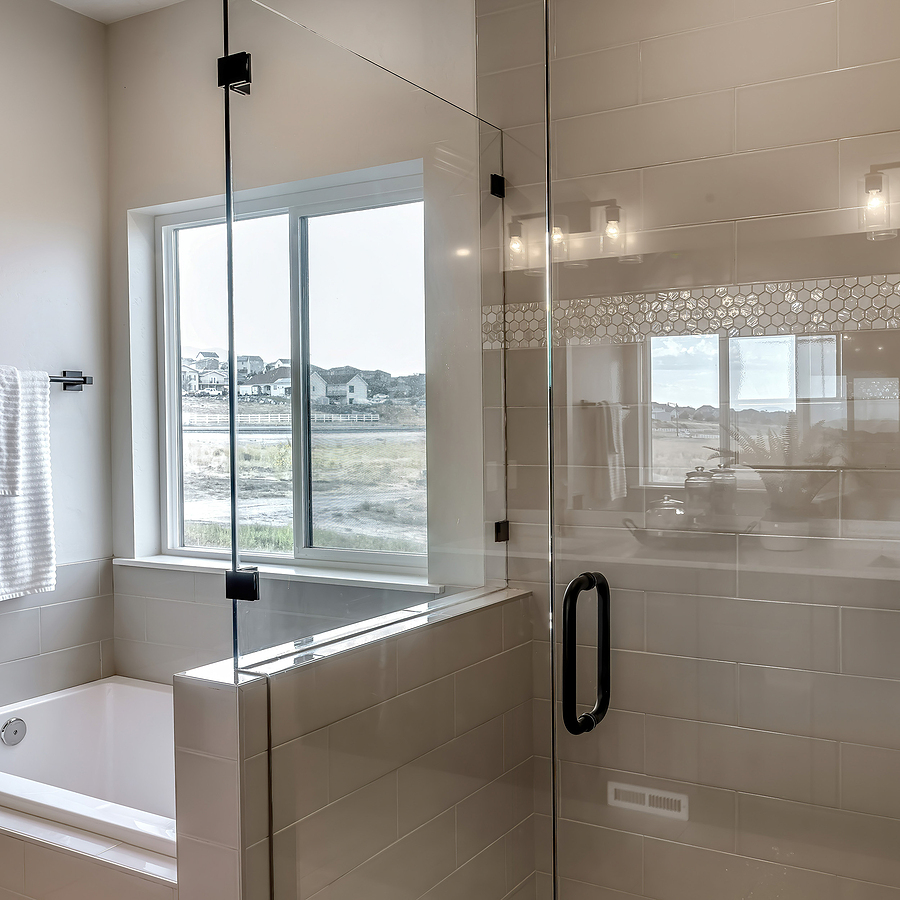 frameless shower door