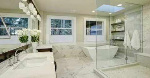 7 Reasons You Need a Frameless Shower Door